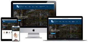 LA Insurance Group website