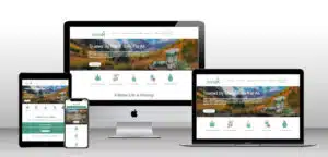 Mira-X website design & management