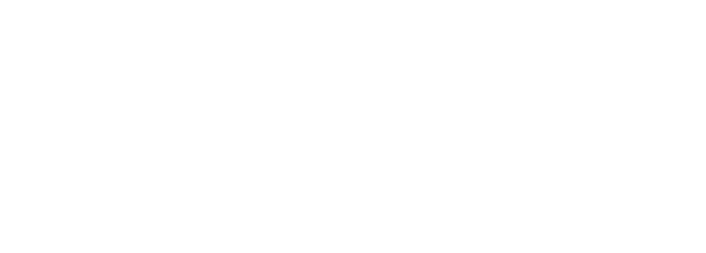 Logo Flextc Primary